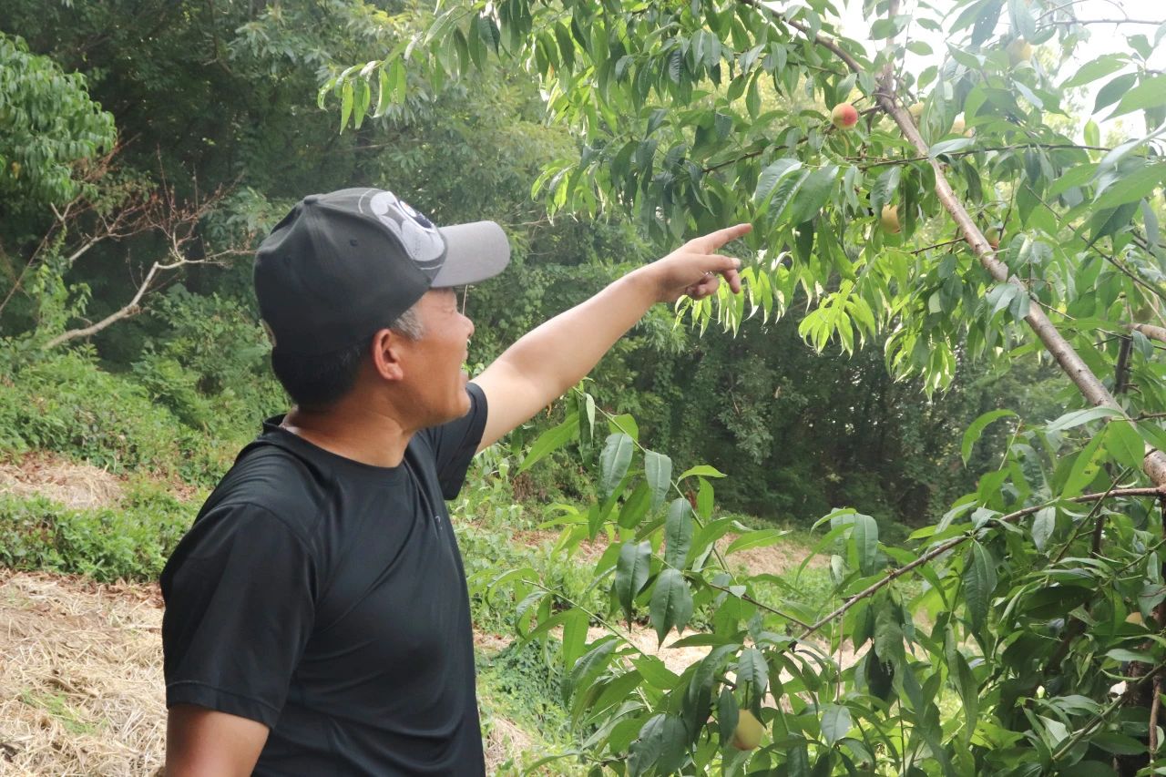 ƶ߲԰ ഺϵũҵ