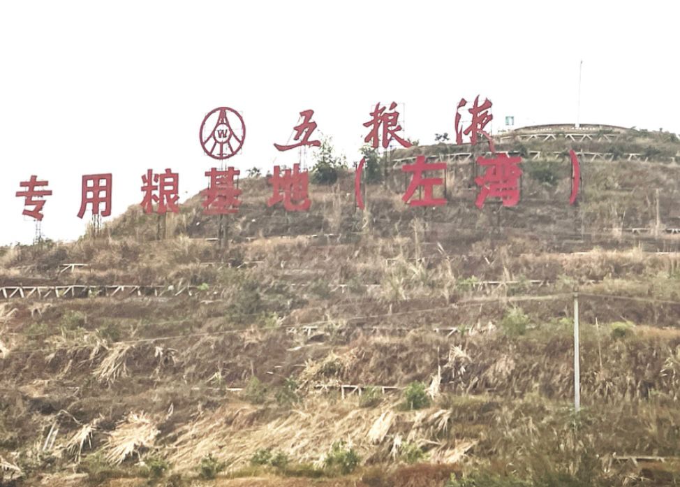 ߱׼츮֣չũҵƪ