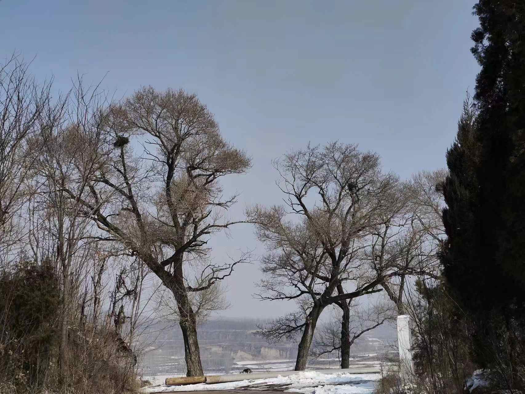 ɽʦѧʷĻѧԺѧӸμʵ